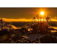 GLHUIOZ Puzzle 500 Pezzi Puzzle adulti Puzzle Classico paesaggio - Gioco di Puzzle e Gioco di Famiglia,Consigliato per Adulti o Oltre 6 Anni,Foschia,Luce solare,52x38cm