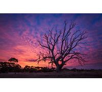 GLHUIOZ Puzzle 500 Pezzi Puzzle adulti Puzzle Classico paesaggio - Gioco di Puzzle e Gioco di Famiglia,Consigliato per Adulti o Oltre 6 Anni Paesaggi,52x38cm