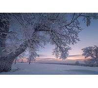 GLHUIOZ Puzzle 500 Pezzi Puzzle adulti Puzzle Classico paesaggio - Gioco di Puzzle e Gioco di Famiglia,Consigliato per Adulti o Oltre 6 Anni,Russia,52x38cm