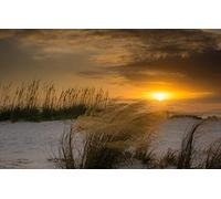 GLHUIOZ Puzzle 500 Pezzi Puzzle adulti Puzzle Classico paesaggio - Gioco di Puzzle e Gioco di Famiglia,Consigliato per Adulti o Oltre 6 Anni Spiaggia,Vento,Florida,Dune,52x38cm