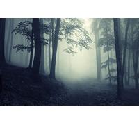 GLHUIOZ Puzzle 500 Pezzi Puzzle adulti Puzzle Classico paesaggio - Gioco di Puzzle e Gioco di Famiglia,Consigliato per Adulti o Oltre 6 Anni Paesaggi,52x38cm