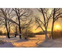 GLHUIOZ Puzzle 500 Pezzi Puzzle adulti Puzzle Classico paesaggio - Gioco di Puzzle e Gioco di Famiglia,Consigliato per Adulti o Oltre 6 Anni Paesaggi,52x38cm