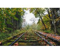 GLHUIOZ Puzzle 500 Pezzi Puzzle adulti Puzzle Classico paesaggio - Gioco di Puzzle e Gioco di Famiglia,Consigliato per Adulti o Oltre 6 Anni,Ferrovia,Abbandonata,52x38cm