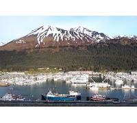 GLHUIOZ Puzzle 500 Pezzi Puzzle Classici Adulti Stampa ad Alta Definizione Decorazioni per la Casa Gioco di Famiglia Regalo di Natale Alaska USA Marina Yacht 52x38cm