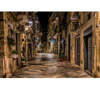 GLHUIOZ Puzzle 500 Pezzi Puzzle Classici Adulti Stampa ad Alta Definizione Decorazioni per la Casa Gioco di Famiglia Regalo di Natale Italy Monopoli Puglia 52x38cm