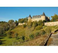 GLHUIOZ Puzzle 500 pezzi, puzzle per adulti e bambini per la stampa ad alta definizione, gioco di famiglia sfida Castelli Francia Vienna 52x38cm