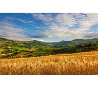 GLHUIOZ Puzzle da 1000 pezzi,puzzle per adulti,puzzle impossibile,puzzle per adulti a partire dai 6 anni,regalo romantico per uomini e donne,Estate,Nuvola,Grano,75x50cm