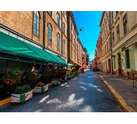 GLHUIOZ Puzzle da 1000 pezzi, puzzle per adulti, puzzle impossibile, puzzle per adulti a partire dai 6 anni, regalo romantico per uomini e donne. Ucraina Leopoli 75x50cm