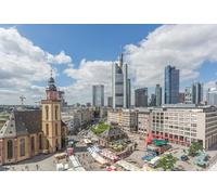 GLHUIOZ Puzzle da 500 pezzi,puzzle per adulti,impossible puzzle,gioco di abilità colorato,gioco di abilità per tutta la famiglia,puzzle per adulti,Francoforte Germania Chiesa di Caterina 52x38cm