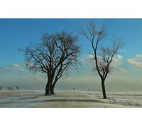 GLHUIOZ Puzzle da 500 pezzi,puzzle per adulti,impossible puzzle,gioco di abilità colorato,gioco di abilità per tutta la famiglia,puzzle per adulti,Campo,Bufera di neve,52x38cm