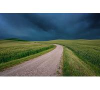 GLHUIOZ Puzzle da 500 pezzi,puzzle per adulti,impossible puzzle,gioco di abilità colorato,gioco di abilità per tutta la famiglia,puzzle per adulti,Campo,Italia,Toscana,52x38cm