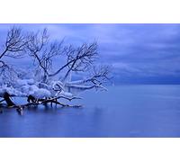 GLHUIOZ Puzzle da 500 pezzi,puzzle per adulti,impossible puzzle,gioco di abilità colorato,gioco di abilità per tutta la famiglia,puzzle per adulti,Ghiaccioli,Canada,Whitby,Lago Ontario,52x38cm