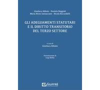 Gli adeguamenti statutari e il diritto transitorio del terzo settore