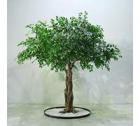 Gli alberi di ciliegio finti sono adatti for hotel, centri commerciali, matrimoni, grandi piante decorative, alberi da paesaggio e decorazioni for finestre.(3.5M)