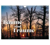 Gli alberi sono sogni (calendario da parete 2027 DIN A4 verticale), CALVENDO calendario mensile