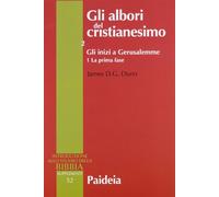 Gli albori del cristianesimo. Vol. 21: Gli inizi a Gerusalemme. La prima fase.