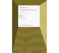 Gli ambienti di apprendimento. Ripensare il modello organizzativo della sc...