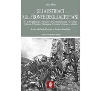 Gli austriaci sul fronte degli altopiani. Il 14° Reggimento «Hessen» sull'Altopiano dei Fiorentini, Cimone d'Arsiero, Valsugana, Civaron, Ortigara e Melette