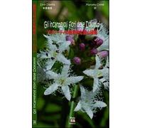 Gli incantevoli fiori delle Dolomiti. Ediz. giapponese