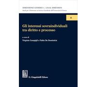 Gli interessi sovraindividuali tra diritto e processo