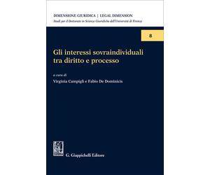 Gli interessi sovraindividuali tra diritto e processo - Campigli V. (cur.)...