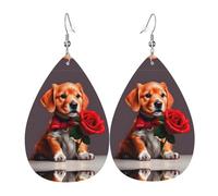 Gli orecchini in pelle a forma di lacrima a forma di cane da gentiluomo sono un accessorio lussuoso e alla moda adatto per le donne, mostrando fascino individuale.