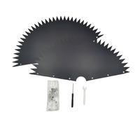 Gli scoiattoli del metallo affliggono la protezione leggera dei deflettori della prova d'attaccatura per la difesa delle casette per uccelli