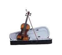Gli Studenti Principianti Di Violino Opaco Praticano L'arco Di Violino, Tastiera In Legno Brasiliano, Faccia In Ebano, Abete Rosso