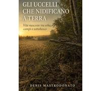 Gli uccelli che nidificano a terra: Vite nascoste tra erba, campi e sottobosco