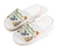 Glilade Pantofole da casa per donne e uomini, antiscivolo, per interni, con punta aperta, traspiranti, estive, per camera da letto, leggere libri con drago, Drago Leggi Libri, 8.5/9 UK Wide