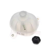GLILAR Serbatoio Raffreddamento Motore Compatibile con Hyundai per Tucson 2018 2019 2020 2021 2.4l 2359cc L4 25431D3500 25431-D3500 Serbatoio del Radiatore con Tappo