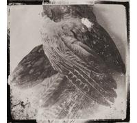 Glissando - World Without Us