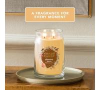 Yankee Candle Glistening Leaves candela profumata Signature 567 g