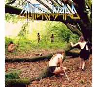 Glitter Wizard - Hunting Gatherers