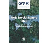 Global assessment report on disaster risk reduction 2023 (Tascabile)