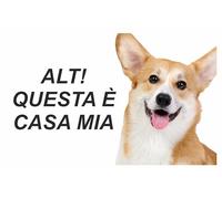 GLOBAL CARTELLO SEGNALETICO - ATTENTI AL CANE WELSH CORGI ALT - Adesivo Extra Resistente, Pannello in Forex, Pannello In Alluminio (20X31 CM, Alluminio)