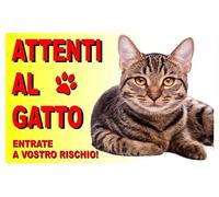 GLOBAL CARTELLO SEGNALETICO - attenti al gatto - Adesivo Extra Resistente, Pannello in Forex, Pannello In Alluminio (10X15 CM, Adesivo)