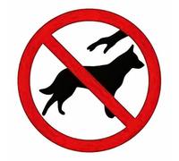 GLOBAL CARTELLO SEGNALETICO QUADRATO - NON TOCCARE IL CANE - segnale Adesivo Extra Resistente, Pannello in Forex, Pannello In Alluminio (Adesivo, 5 cm Lato)