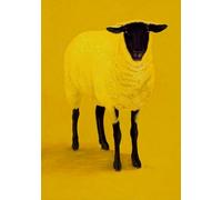 GLOBAL POSTER CON CORNICE - C'È UNA PECORA NELLA MI STANZA (30X40 CM, NERO)