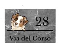 Global Targa Cartello in plexiglass Personalizzato - Numero civico effetto marmo Cane - Con Distanziali in acciaio inox, Stampa UV (Plexiglass, 21x30 cm)