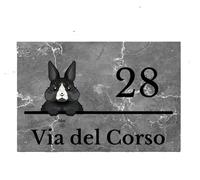 Global Targa Cartello in plexiglass Personalizzato - Numero civico effetto marmo Coniglio - Con Distanziali in acciaio inox, Stampa UV (Plexiglass, 21x30 cm)