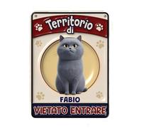 Global Targa Cartello in plexiglass Personalizzato - Vietato entrare Territorio di Gatto - Con Distanziali in acciaio inox, Stampa UV (Plexiglass, 21x30 cm)