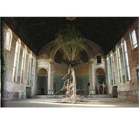 Global Tree Project. Ediz. inglese