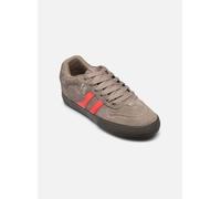 Globe - Encore 2 Marrone - Scarpe sportive 45 Marrone
