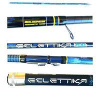 GLOBE FISHING Canna Eclettika 6Mt Pesca Bolognese in Carbonio Barbo Orata Spigola Mare Lago