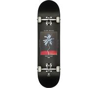Globe Skateboard G1 Palm off 8.0"