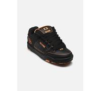 Globe Tilt Trainers EU 44