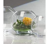 Globe - Vaso trasparente rotondo di Sandra Rich, Vetro, trasparente, 13,5 cm hoch Durchmesser 15,5 cm