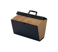 Globe-Weis/Pendaflex Globe Weis 11170 - Valigetta portadocumenti a 19 tasche (i colori possono variare), colori assortiti