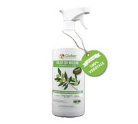 GLOBER Olio Di Neem - Spray 750 ml - 100% Vegetale - Azione Naturale Contro Varie Avversità Estratto Con Pressatura A Freddo - Straordinarie Proprietà